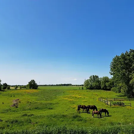 Visser's Landblick Krummhörn